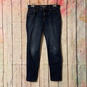 J Brand Jeans Womens 28 Blue Skinny Leg Jeans Pants Denim Ignite Casual